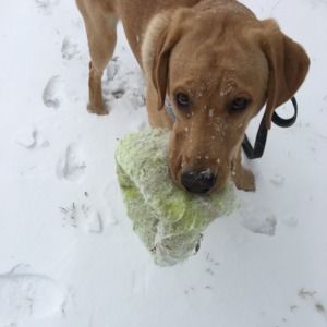 Meet your Posher, Tania